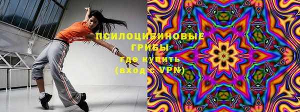 крисы Пересвет