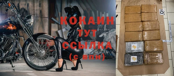 крисы Пересвет