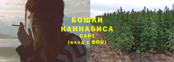 MESCALINE Переславль-Залесский