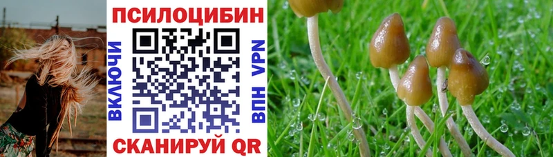 купить наркотик  Шуя  Псилоцибиновые грибы прущие грибы 