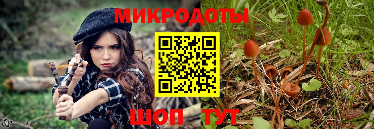 Псилоцибиновые грибы Psilocybe  Вход с VPN  купить закладку  Шуя  Галлюциногенные грибы Cubensis 